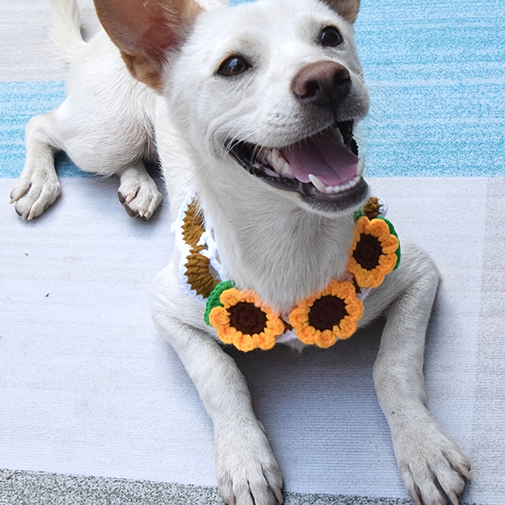 Adorable Pet Costumes to Kick Off the Season