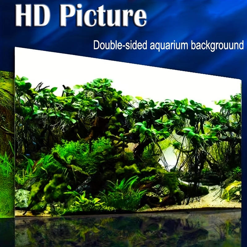 Aquarium Poster Wallpaper Colorful Seaweed Coral Plants Fish Tank  Background Grass Anemone Picture, Shop The Latest Trends