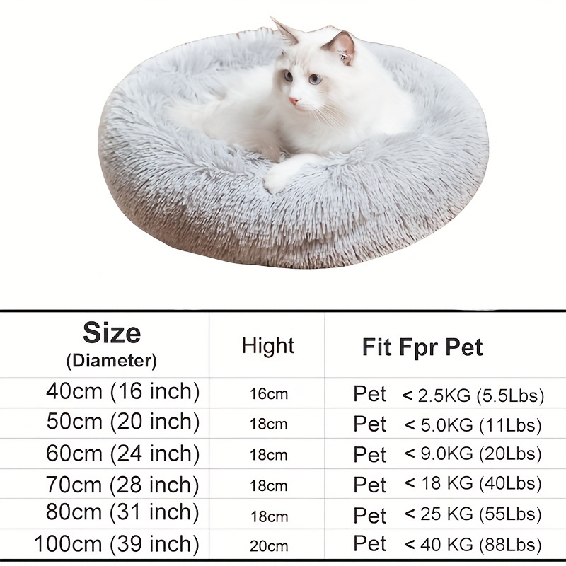 Cat hotsell bed size