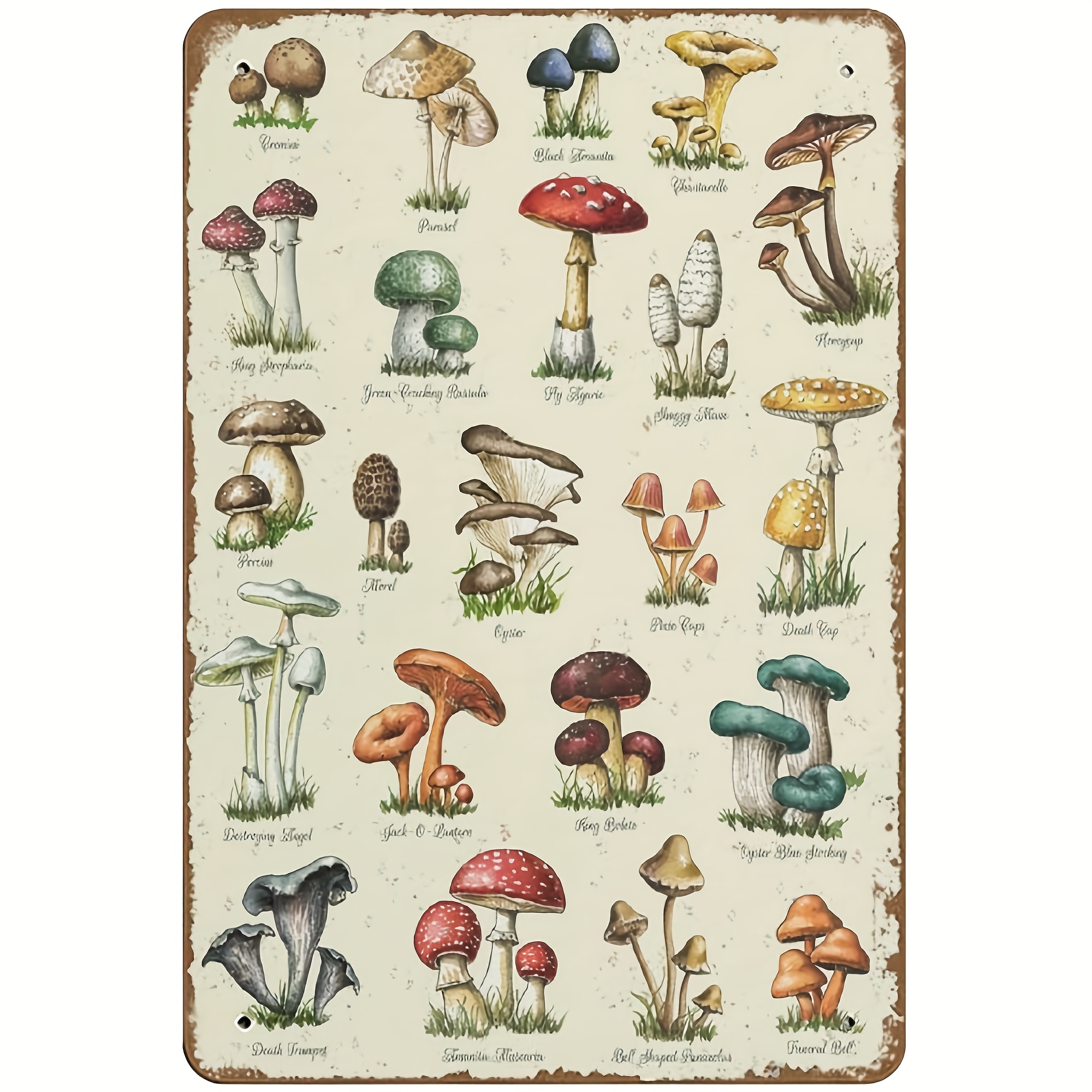 

1pc, Metal Tin Sign (11.8inx7.87in/30cm*20cm), Wall Decor, Room Decor, Home Decor, Restaurant Decor, Bar Decor, Cafe Decor, Outdoor Decor, Yard Decor, Garden Decor, Farm Decor, Mushroom Decor