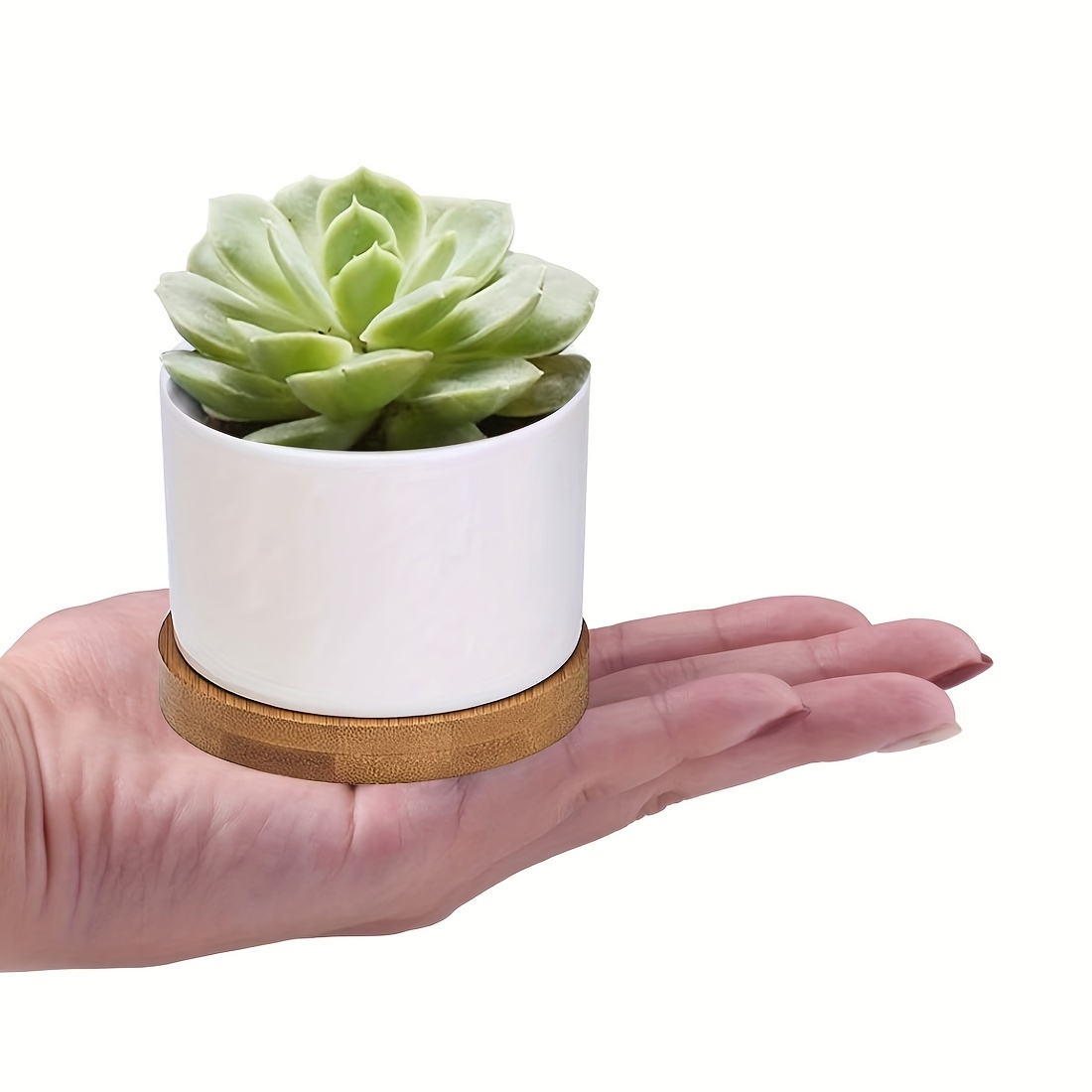 Freestylehome Petit pot de fleurs rond en céramique blanche pour plantes  succulentes avec plateau en bambou Cactus pour plantes succulentes avec  plateau en bambou pour décoration de chambre 