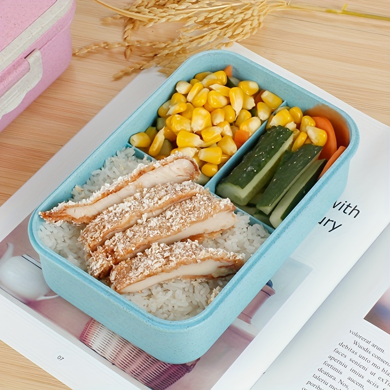 Picnic Bento Box School Lunch Idea