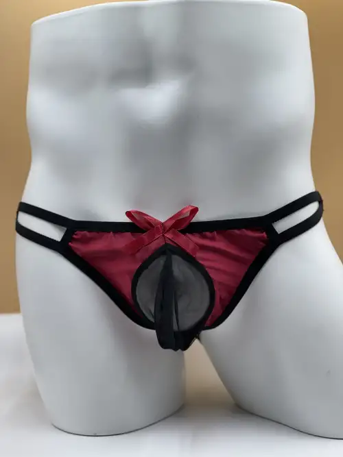 Lace C String Thong for Men Sheer Mesh C-String Panties Lingerie