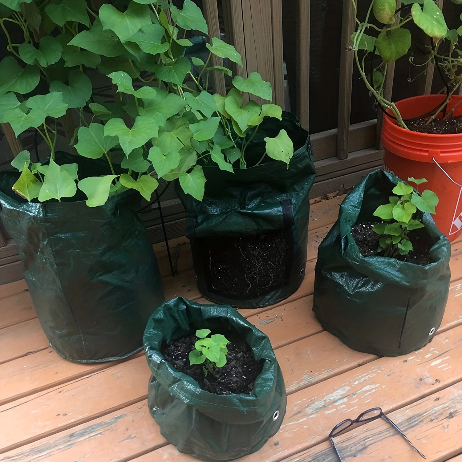 Potato Grow Bags, Planting Growing Bag With Flap And Handles Plant  Container Planter Pot For Potato Flowers Mushroom Tomato And Vegetables,  Green, 7 Gallon/10 Gallon - Temu