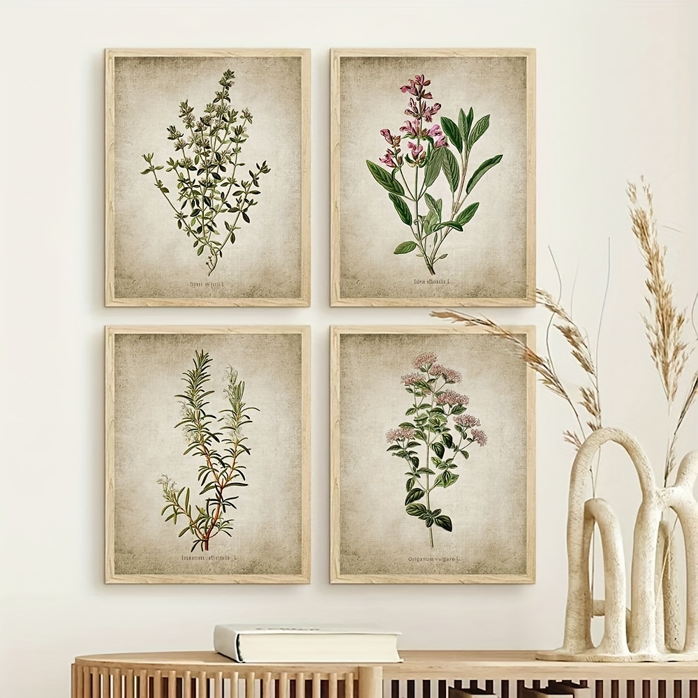 Láminas de botánica vintage  Grabados botánicos, Dibujos botánicos,  Impresión artística