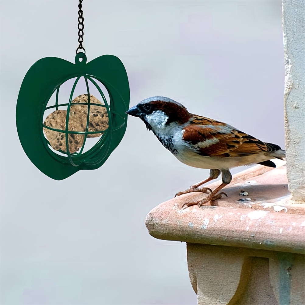 Mangeoire à oiseaux pour oiseaux sauvages, jardin, extérieur, avec grillage  métallique