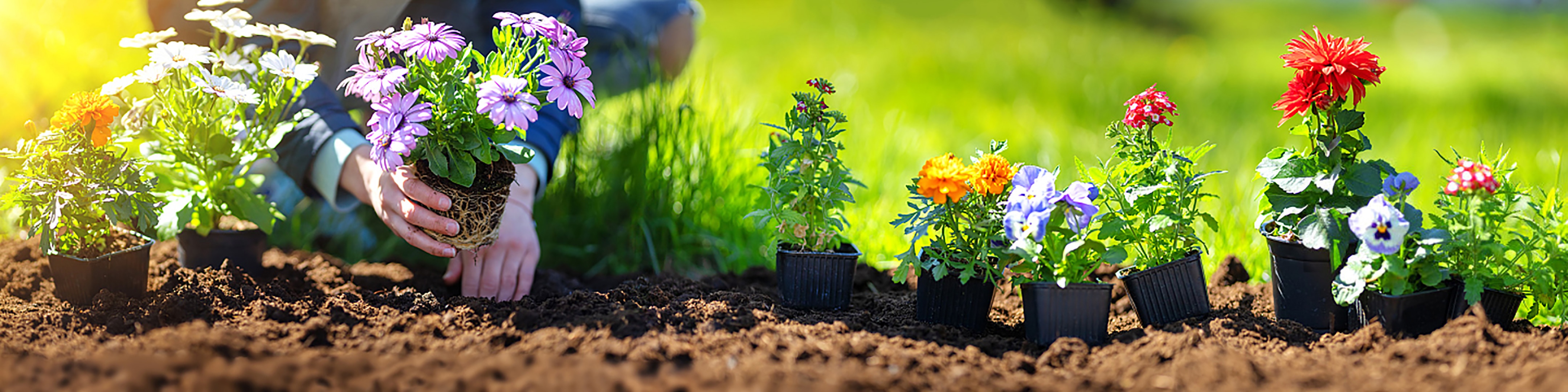 Gardening Shop Shop On Temu And start Saving Temu