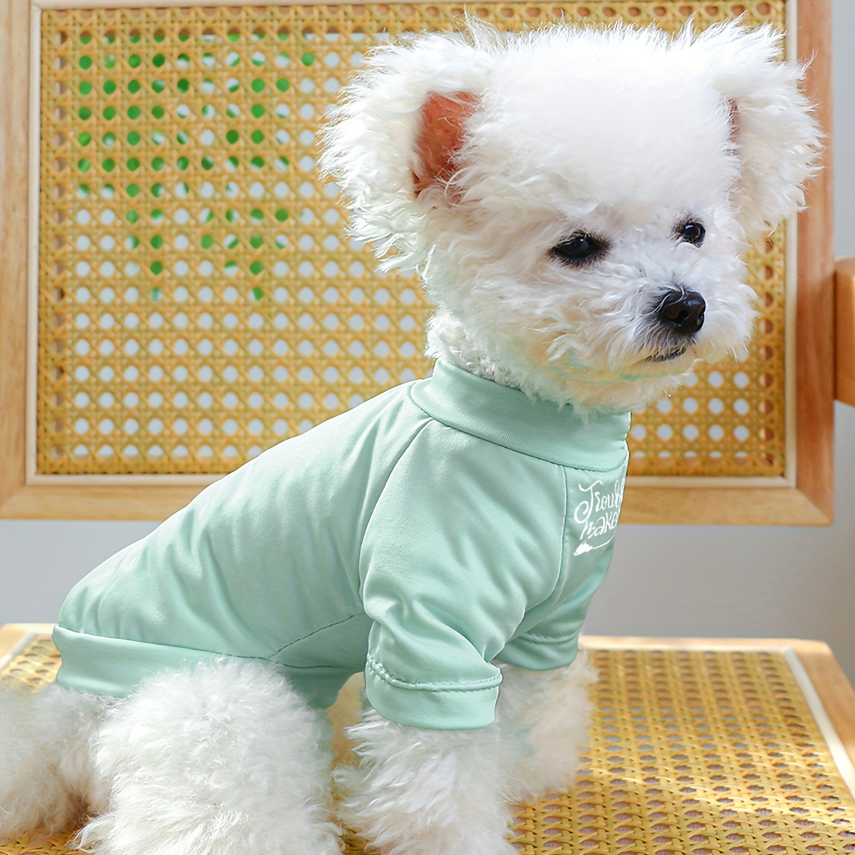 Pet Dog Lovely dog mannequin, Dog Sewing Model,Small Dog Clothes