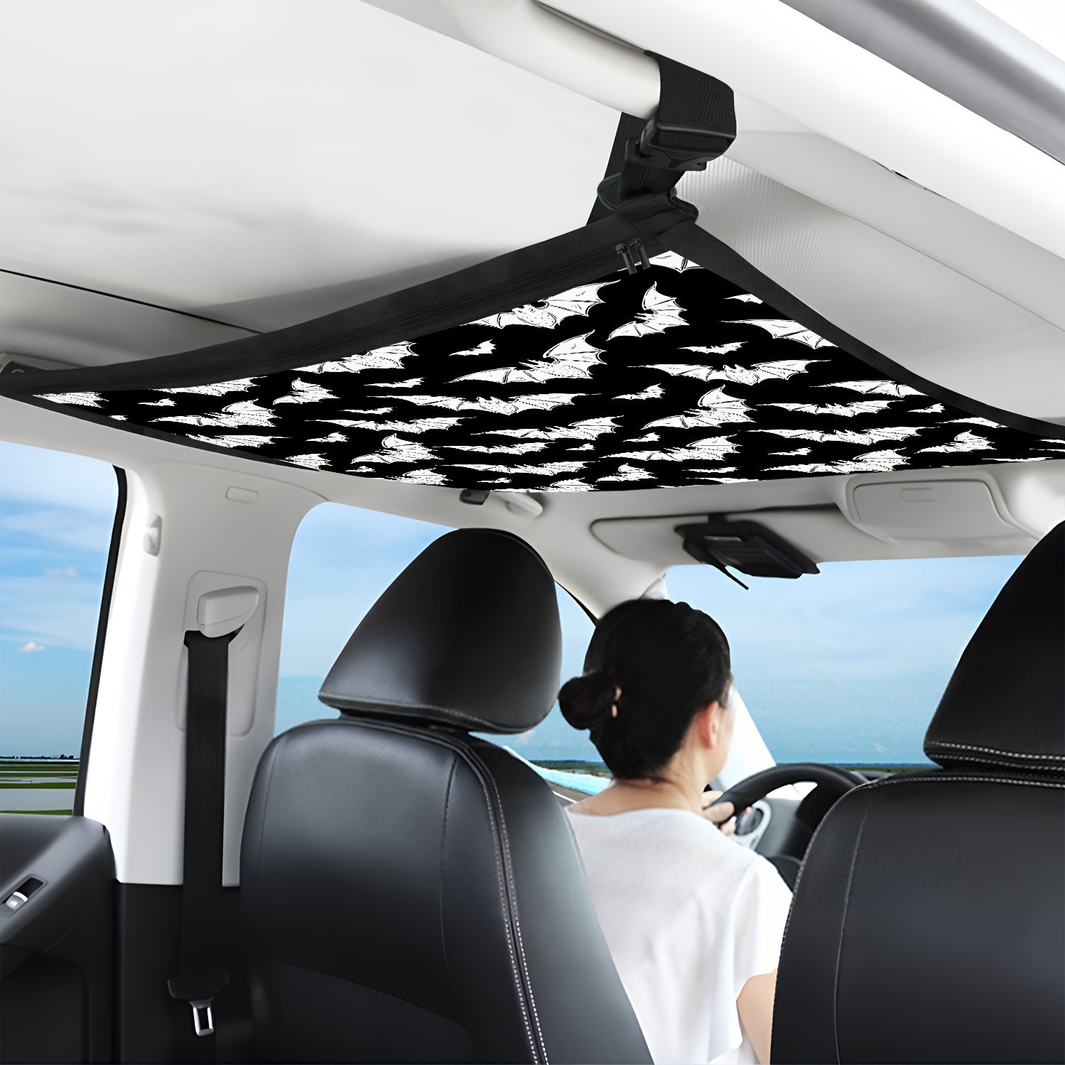 Car interior 2025 roof storage