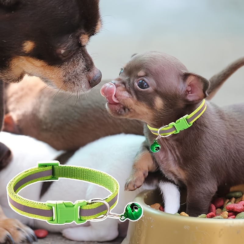 Litter store puppy collars