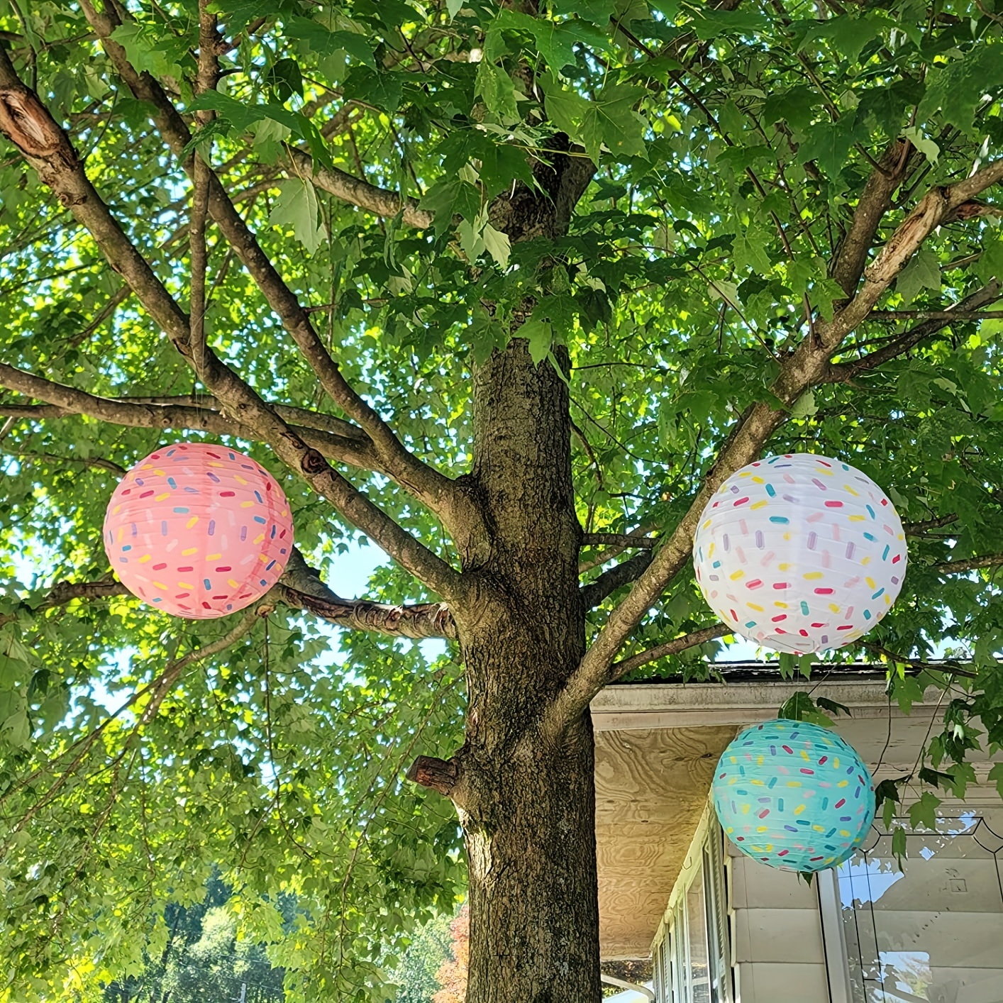 Cream paper clearance lanterns