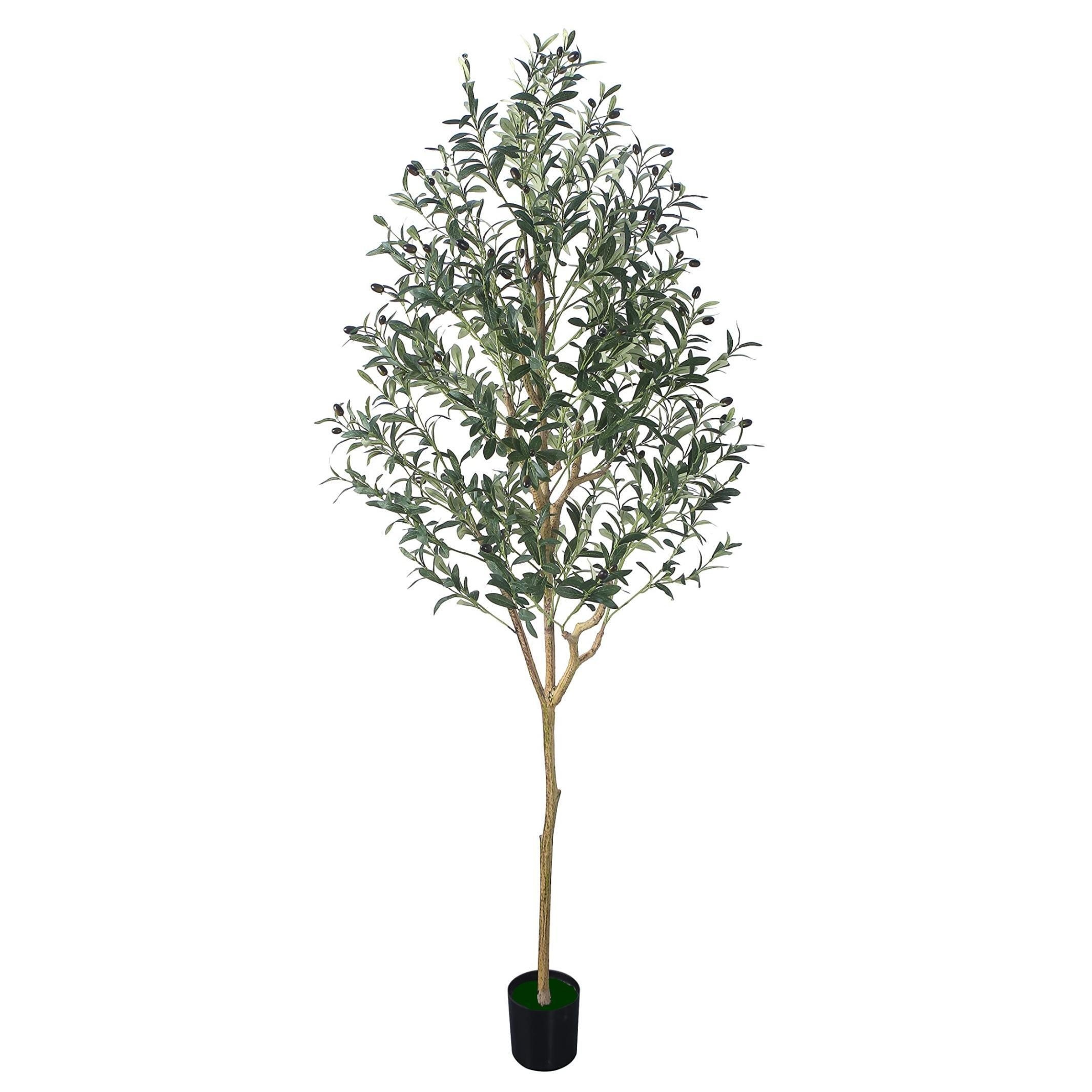 Árbol de olivo artificial de 6 pies para decoración del hogar en  interiores, Caja dañada, 11, 99999900230602