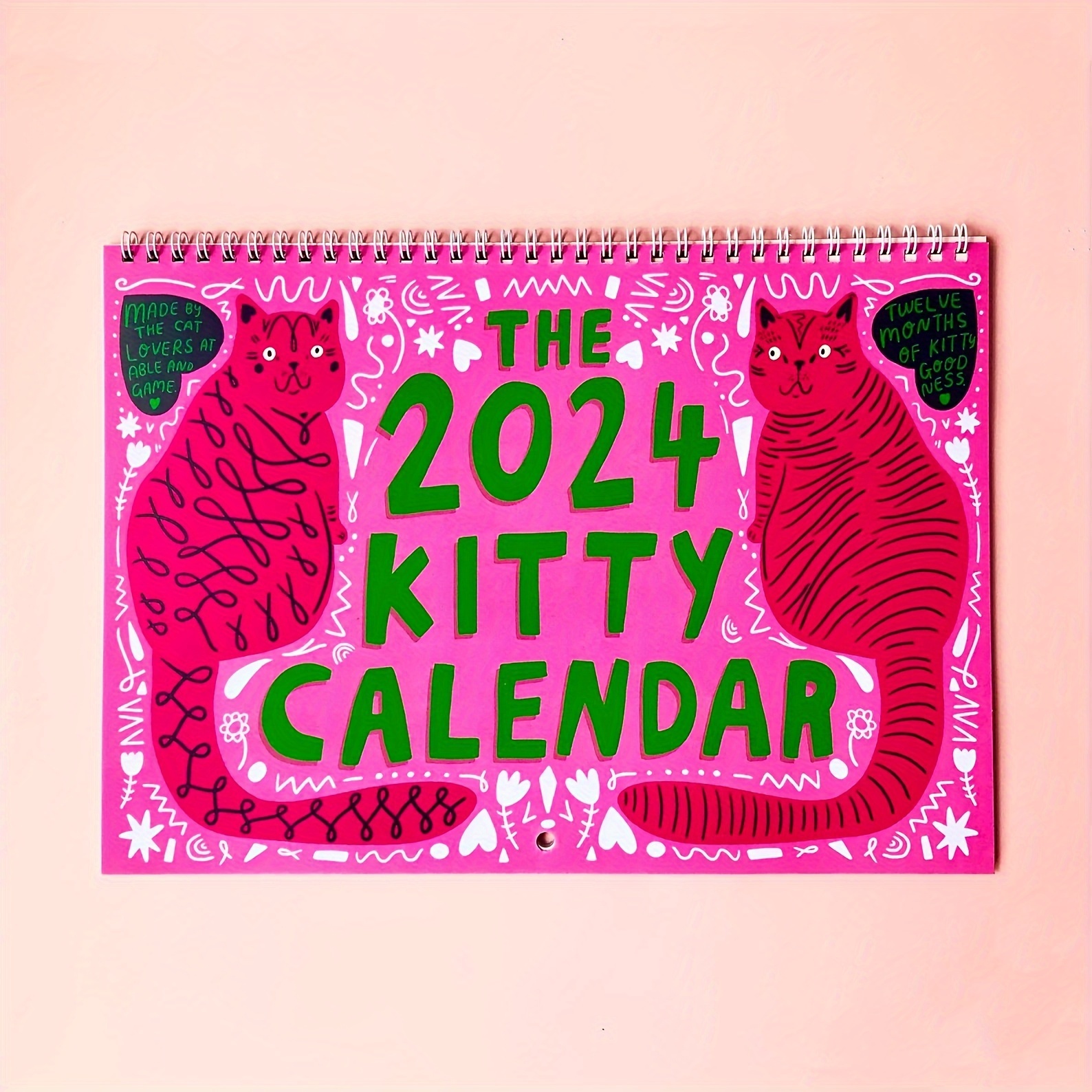 Strange Medieval Cat Calendar 2024 Drôle D'art De Chat Laid - Temu