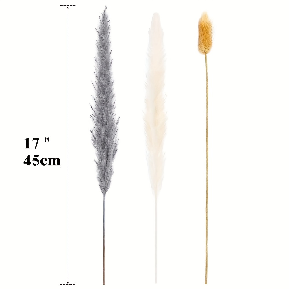 Dried Pampas Grass Decor Diy Boho Natural Dried Flower Decor - Temu