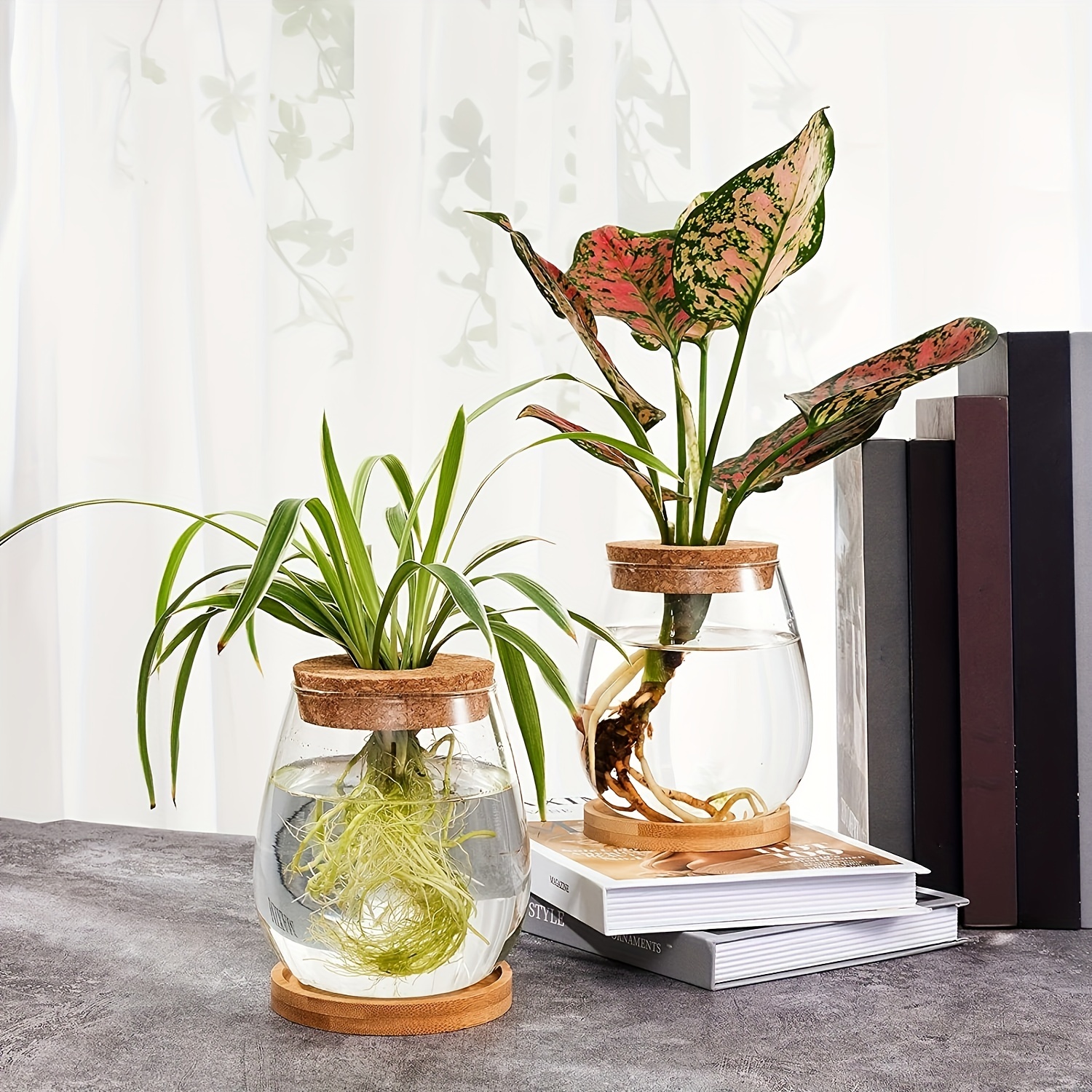 Glass Wood Vase Planter Terrarium Table Desktop Hydroponics Plant