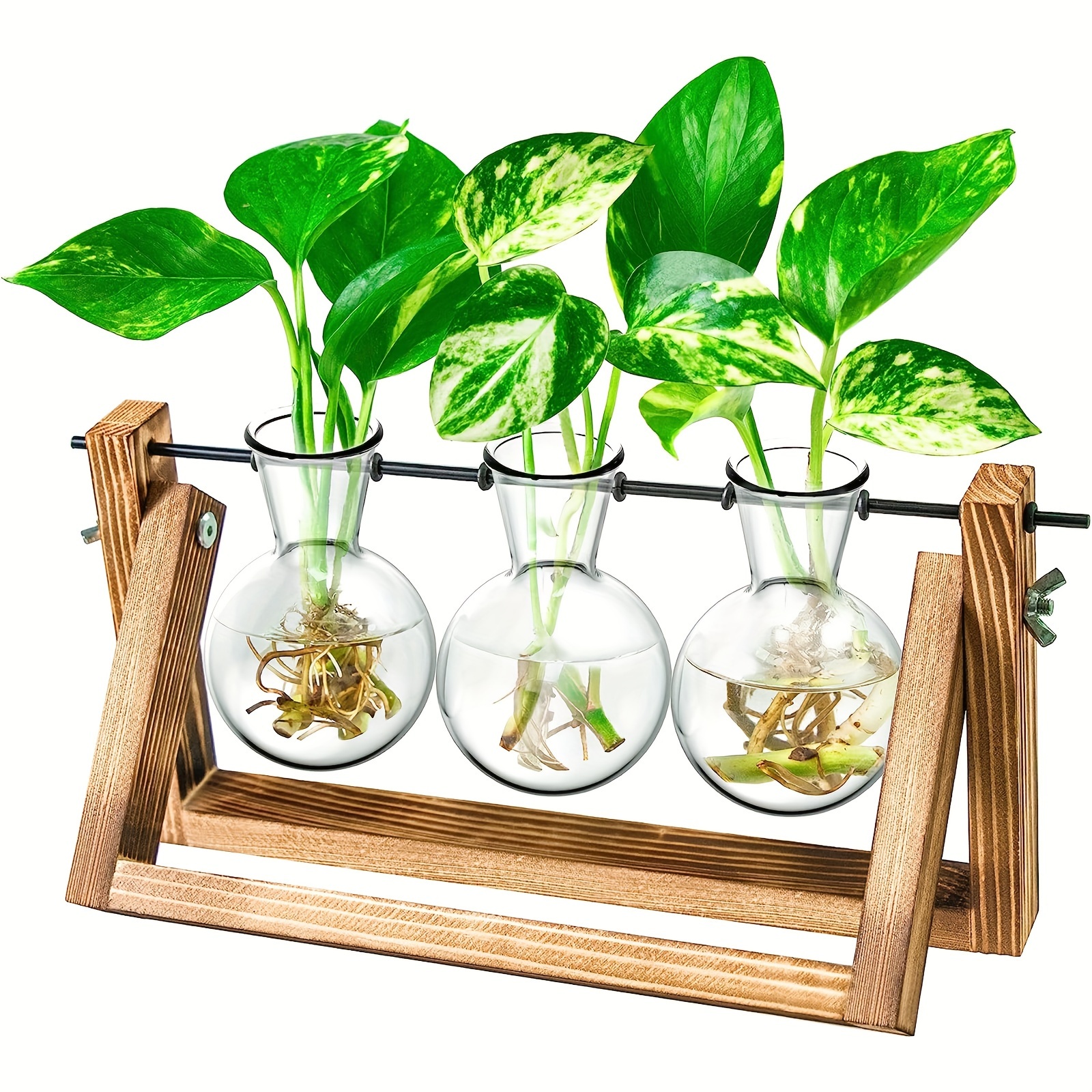 Station de propagation en verre avec cadre en métal, lot de 2 vases à  fleurs en or, vase en tube à essai pour plante hydroponique, petit vase à  bourgeons pour décor de