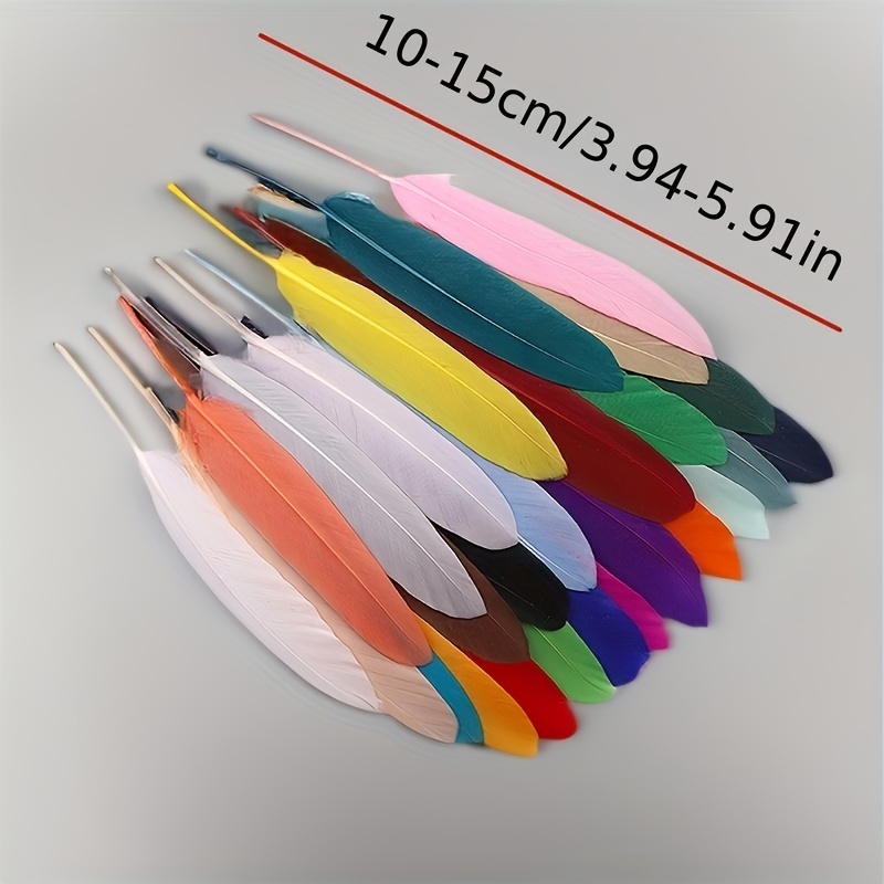 10/50/100 pezzi di piume d'oca colorate piccole piume - Temu Switzerland