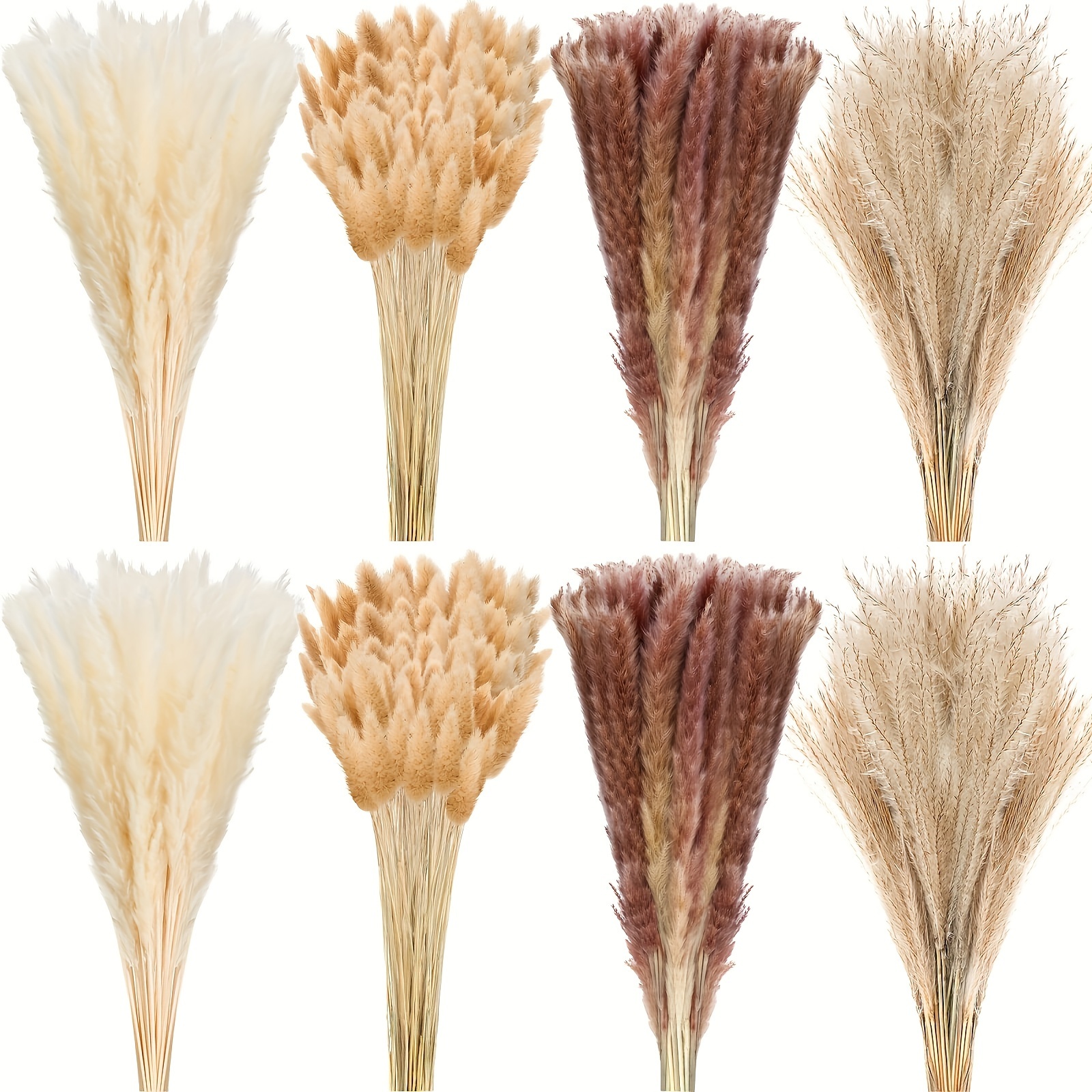 Erba di Pampas secca naturale decorative 110 pezzi 44,5cm15Pz Pampa bianca  & 15Pz Pampa marrone