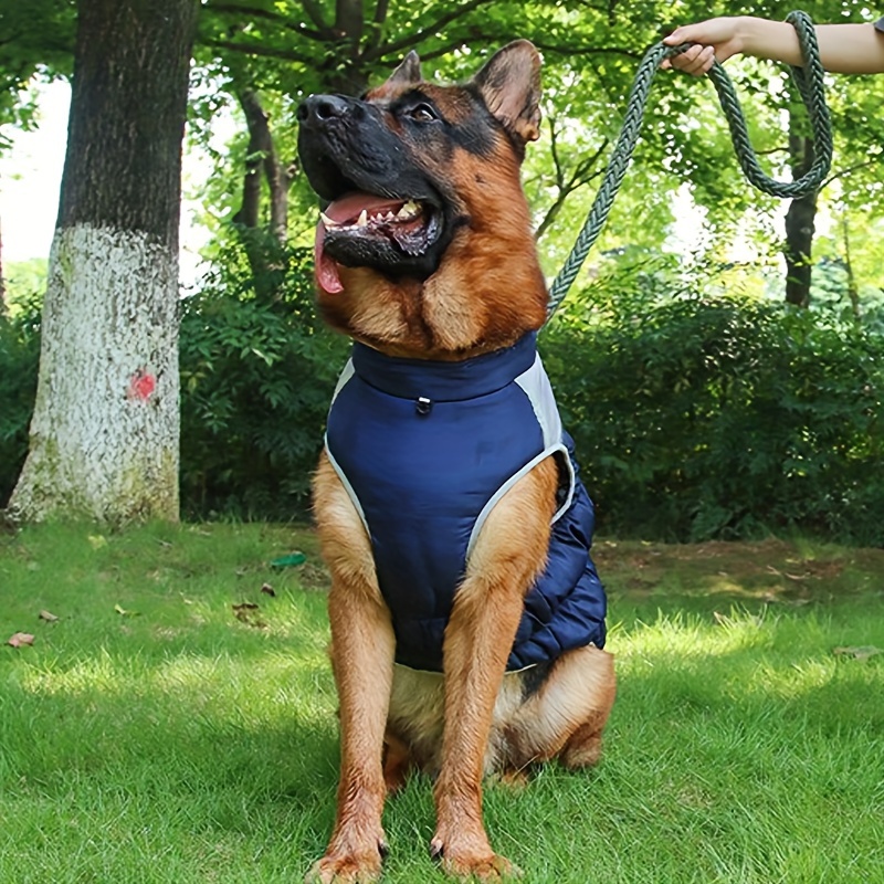 Manteau pour chien online berger allemand