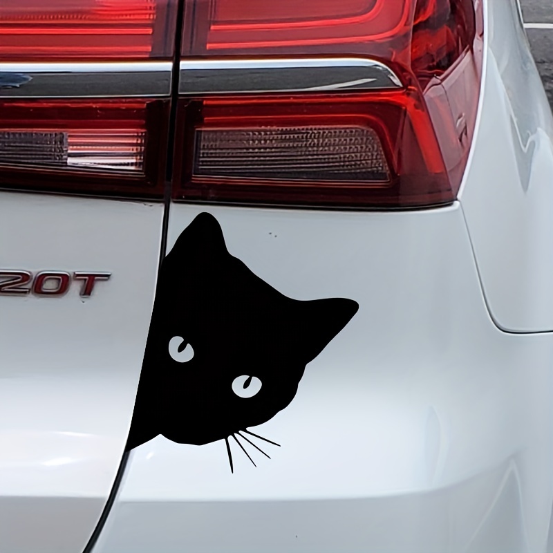 Sticker for Sale mit Lustige weiße Katze fährt ein Auto mit einem  Surfbrett von Pet-Station
