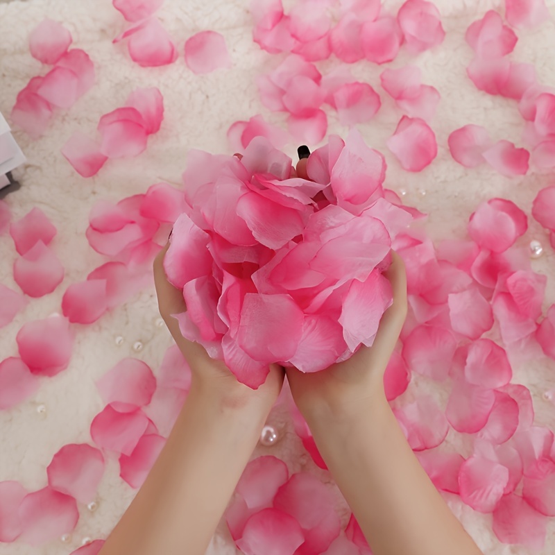 Petali Rosa Artificiali Rosa Sfumato 1000 Pezzi, Petali Fiori Finti, Fiori  Plastica, Decorazioni Casa Festa Nuziale - Casa E Cucina - Temu Italy