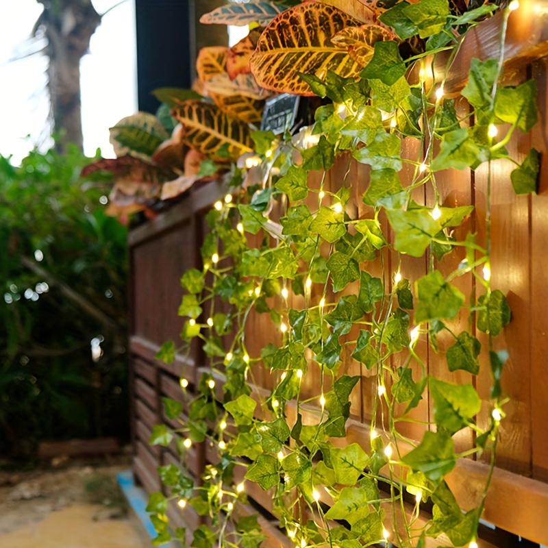 Ivy solar deals string lights