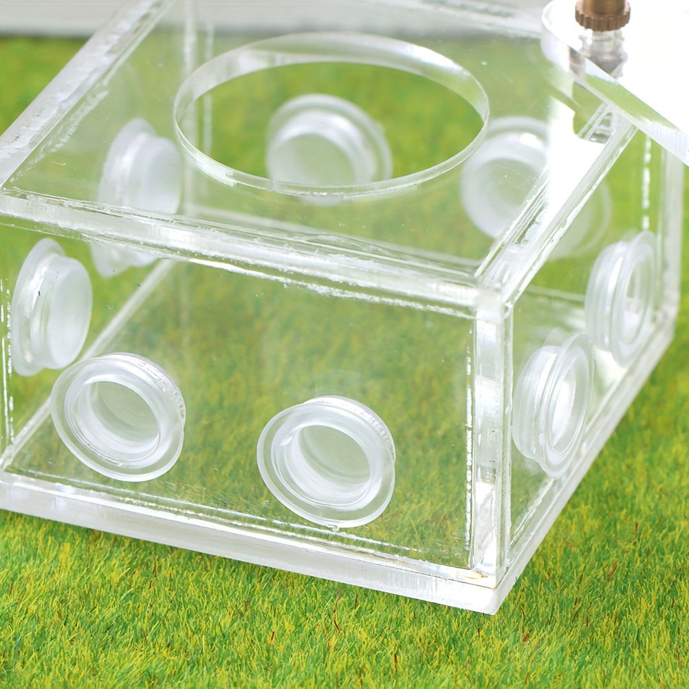 Fourmilière, Cage À Nid for Enfants Jouet en Plastique Élevage Maison for  Fourmis Insectes Reproduction Alimentation, Nid Transparent en Acrylique  (Color : D) : : Animalerie