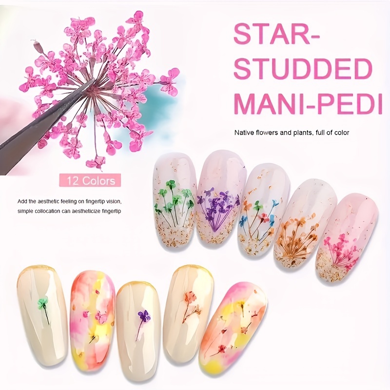 1 Box Of 12 Colour 3d Nail Art Stickers Real Dried Flowers Nail