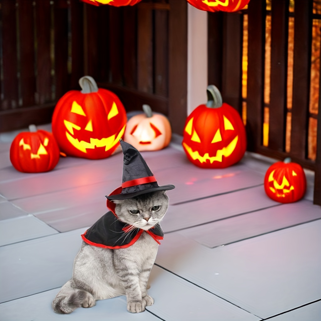 Halloween Pets Cosplay Clothes Cat Vampire Costume Cloak And Wizard Hat For  Cat Kitten Holiday Party Supplies - Temu