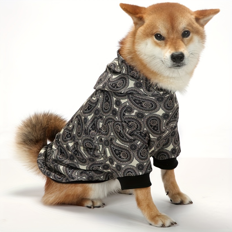 Gucci 2024 dog dress