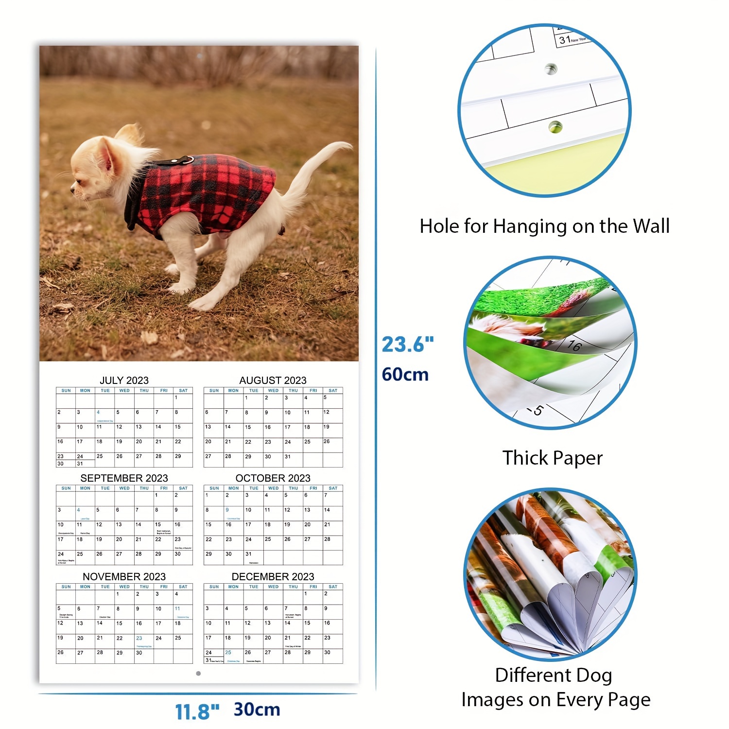  2024 Calendar – 2024 Wall Calendar Funny, 12 Monthly Calendar,  Jan 2024 – Dec 2024, 12'' x 12'' (Closed), 12'' x 24'' (Open), Perfect Fun  Gag Gift, White Elegant Gifts, with Hanging Holes : Office Products