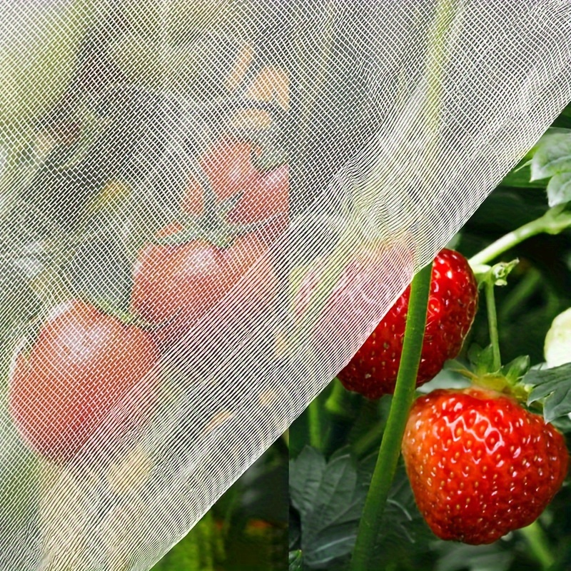 Insect Screen Mesh Garden Insect Barrier Netting Mesh - Temu