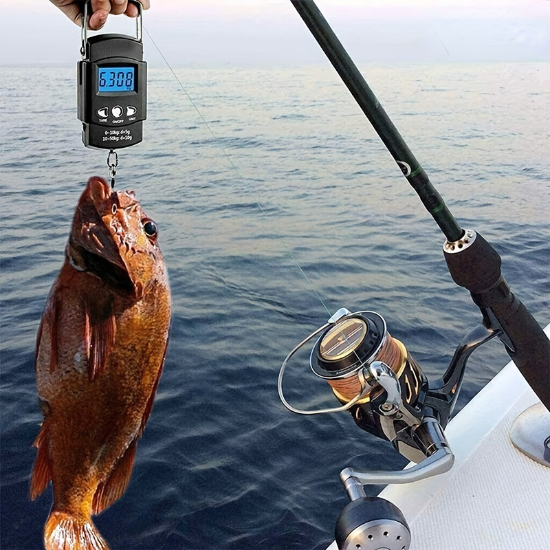 Fishing Scale - Temu Canada