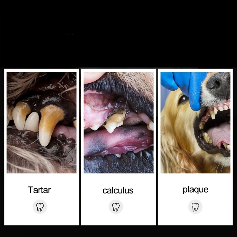 canine dental cleaning tools