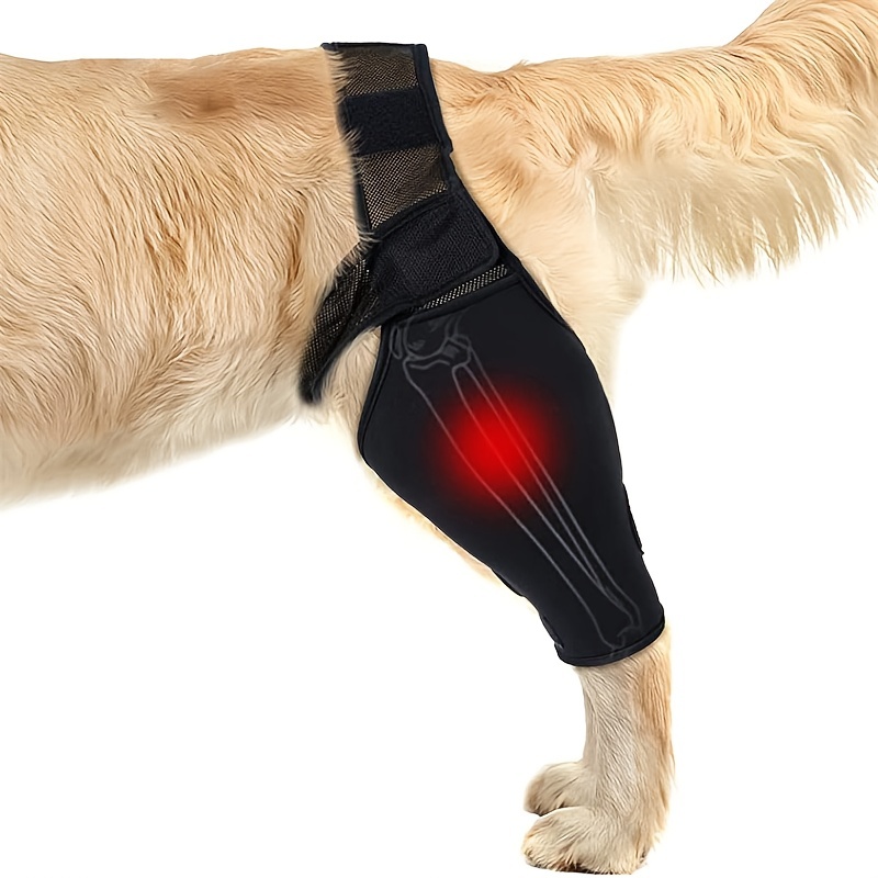 Dog Leg Support Brace Adjustable Rear Leg Brace Dog Thigh - Temu