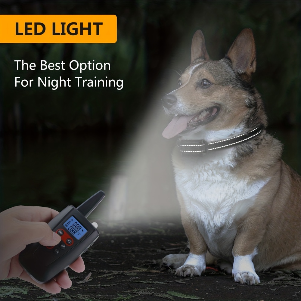 Best remote dog training 2024 collar for small dogs