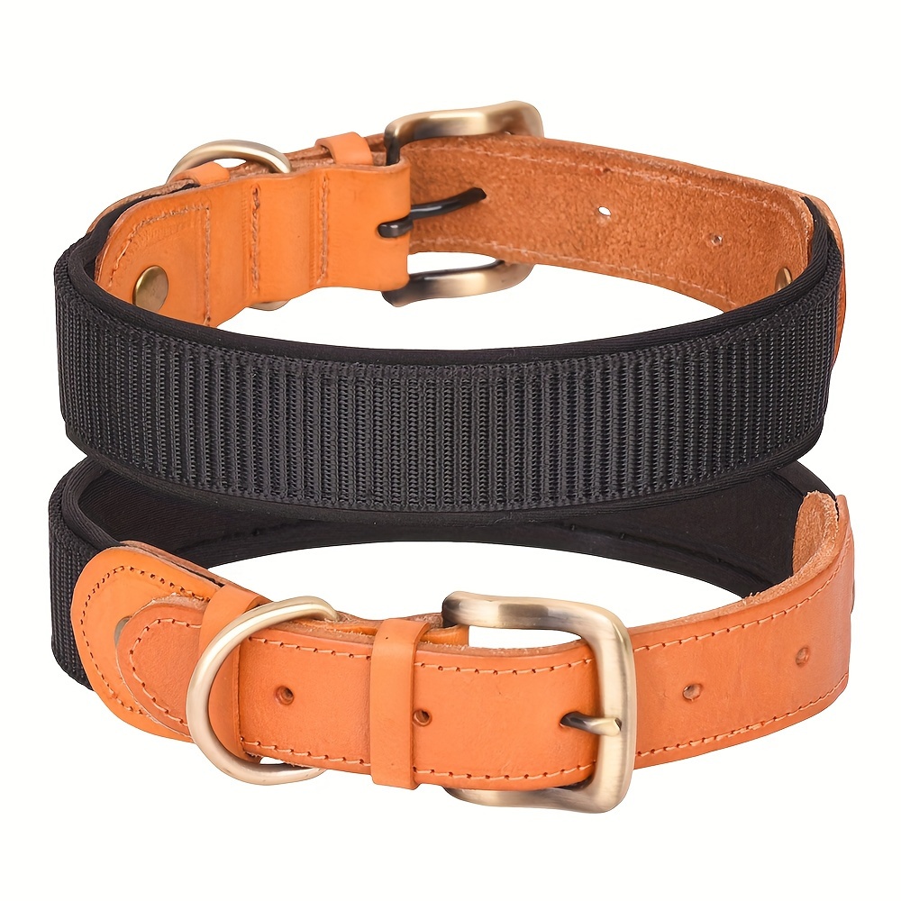 Collare nylon arancione per cane, DELA Shop