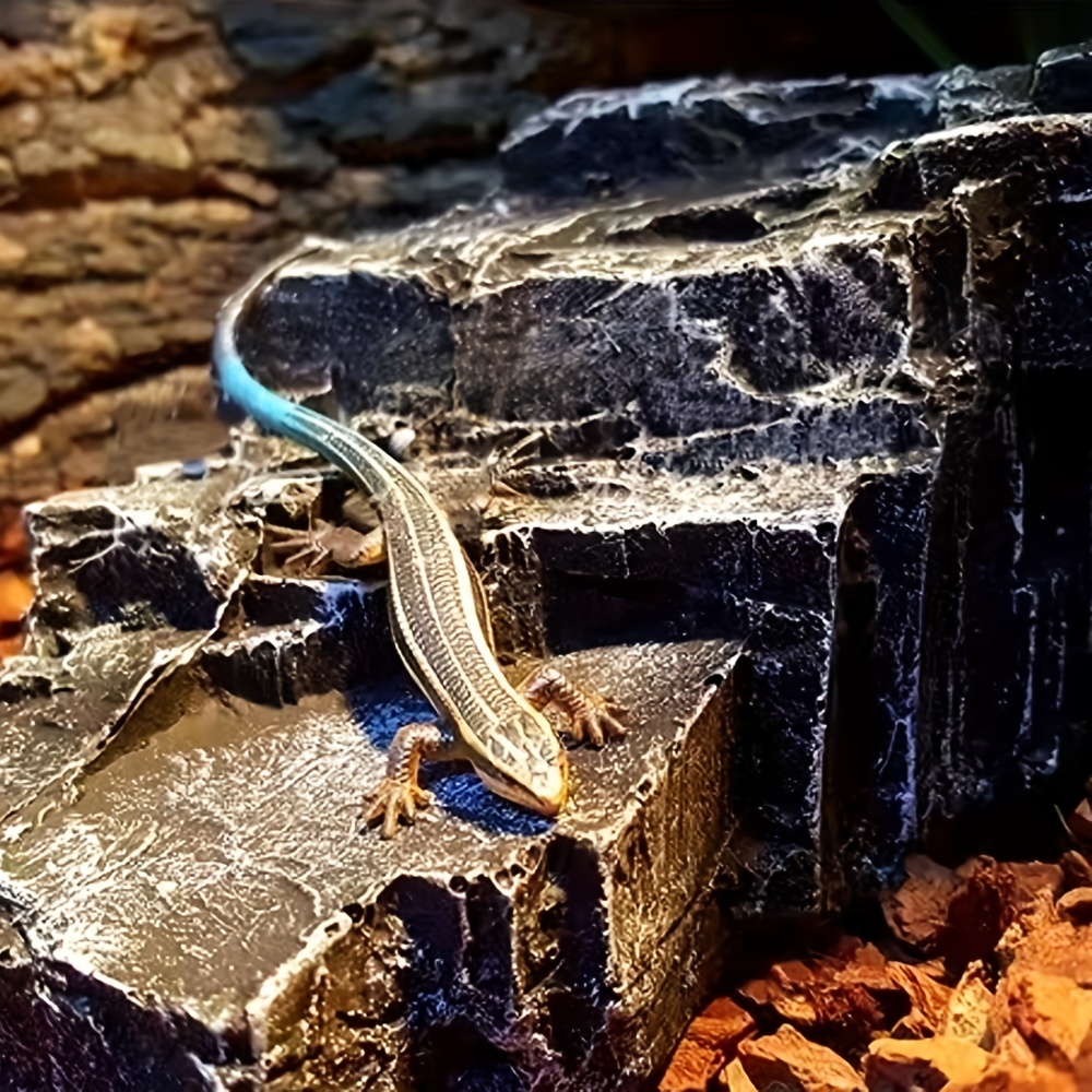 Lizard tank outlet decorations