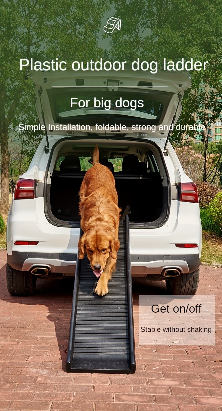 Échelle D'escalade Pour Animaux De Compagnie, Rampe Pour Chien En