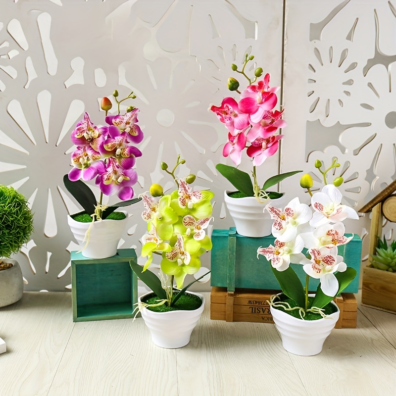 5 Pezzi Vaso Orchidee Vaso Speciale Controllo Radici - Temu