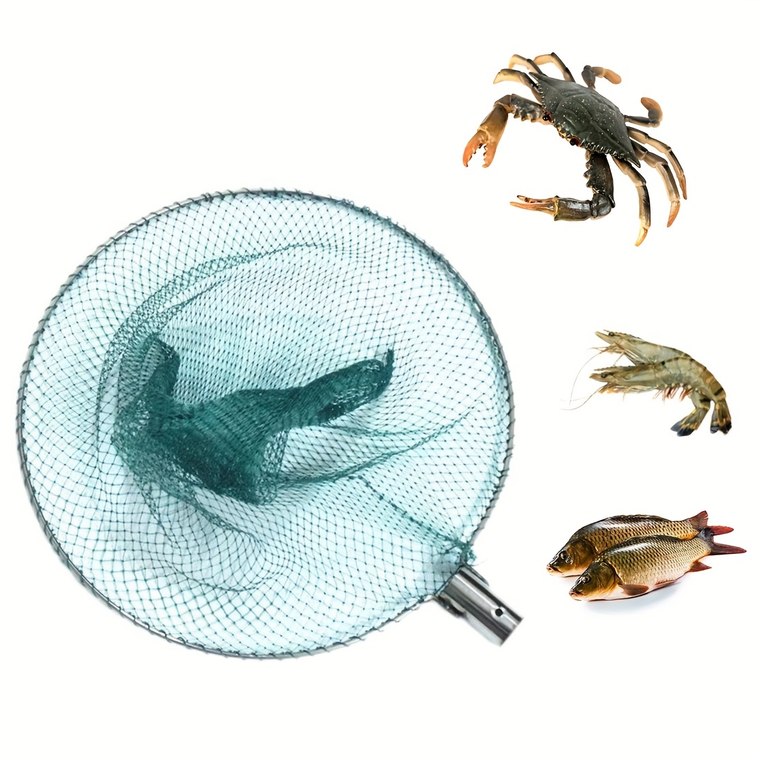 Collapsible Fish Durable Convenient Fishing - Temu
