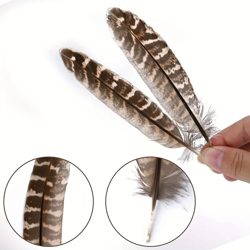 50pcs Feather For Crafts Natural Pheasant Feathers DIY Pheasant Tails  Feather Brown Feathers Natural Speckled Feathers For DIY Dream Catcher  Crafts,Ha