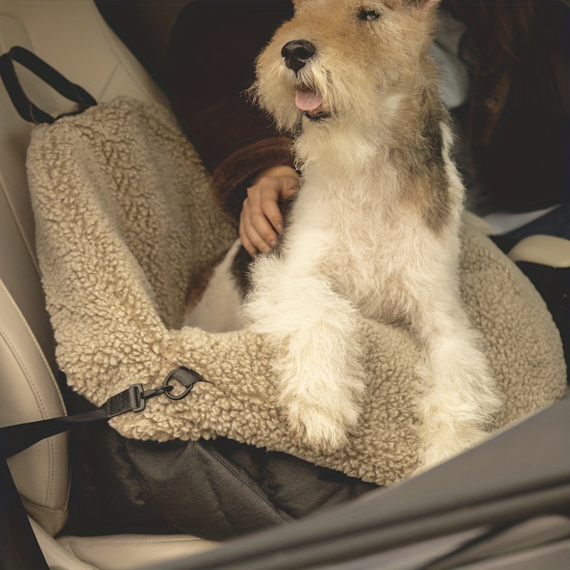 Custodia Cani Borsa Cani Addestramento Cani Borsa Porta - Temu Italy