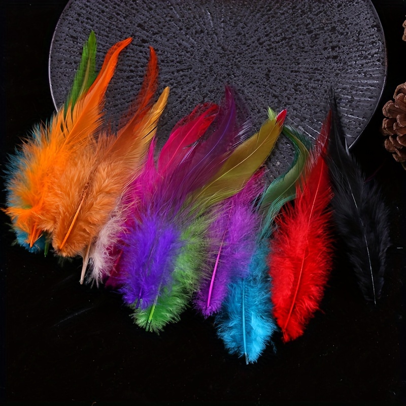50pcs Wild Chicken Feathers For Crafting, Jewelry Making, Dream