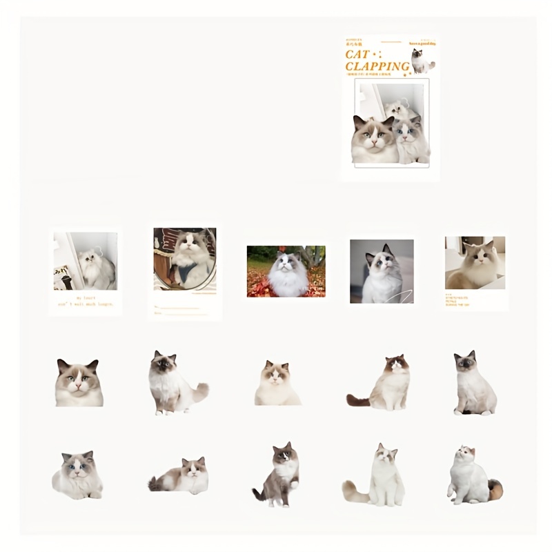 Cute Wild Cat Sticker Set