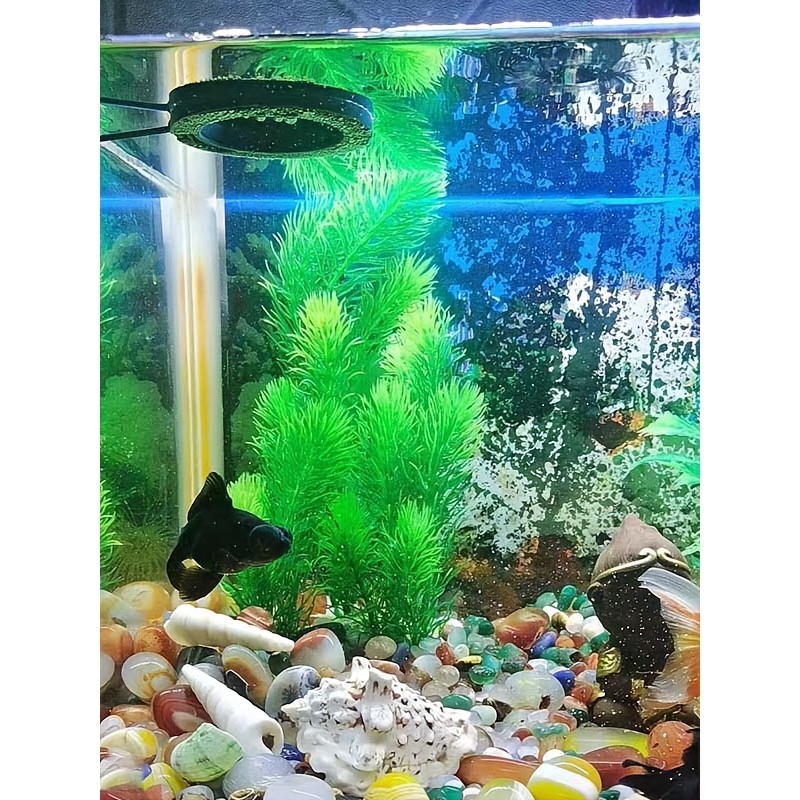 Betta Tank Decor - Temu Canada