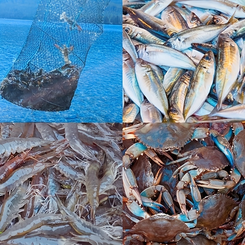 Fishing Bait Trap Crab Trap Minnow Trap Crawfish Trap - Temu Canada