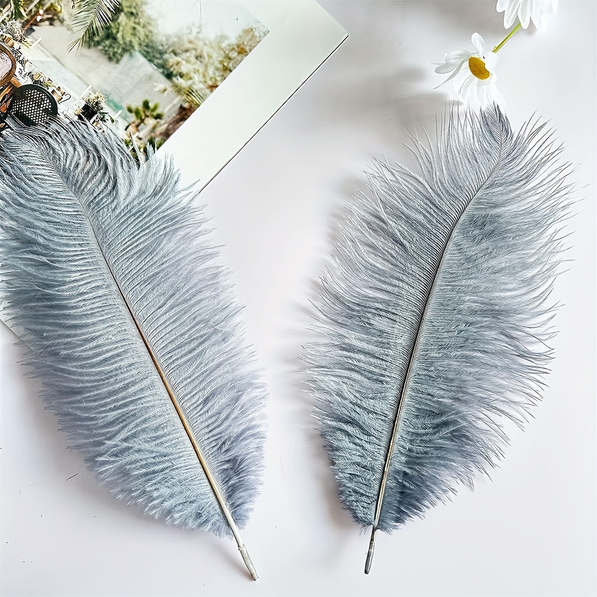 Natural Ostrich Feathers / Bulk For Diy Halloween - Temu