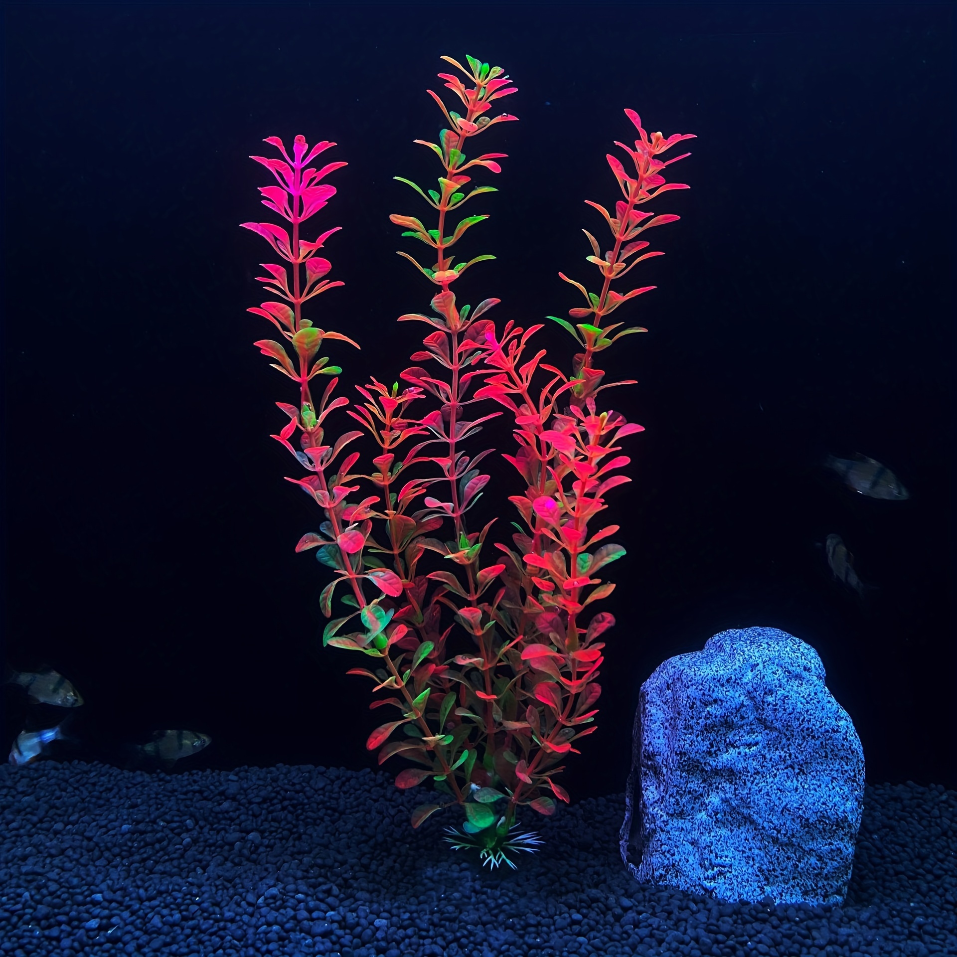 1pc Vibrant Aquarium Decoration Artificial Plants Enhance Betta Fish  Tropical Fish Aquarium, Today's Best Daily Deals