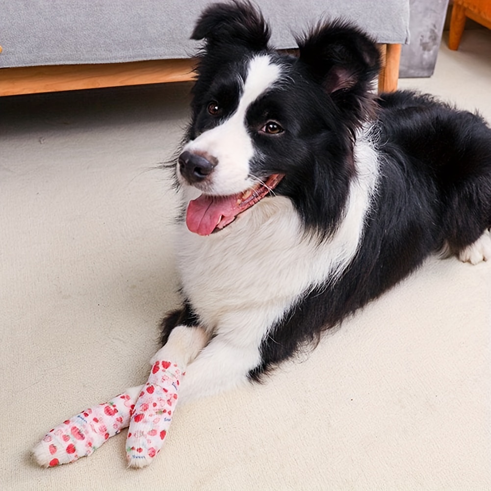 Ace bandage outlet for dogs knee